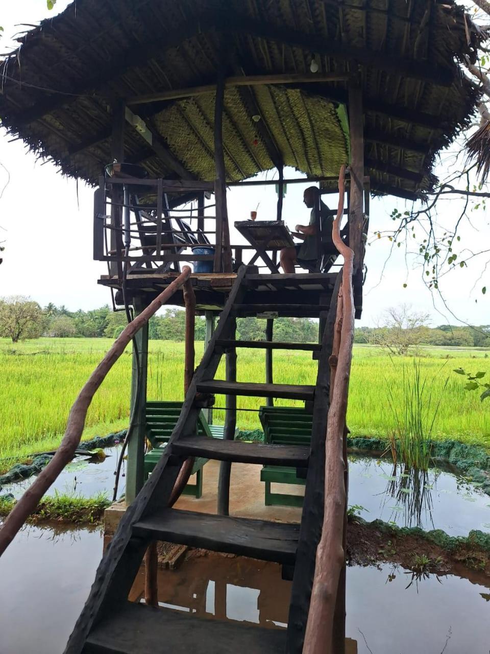 Lake Wind Habarana Exterior photo